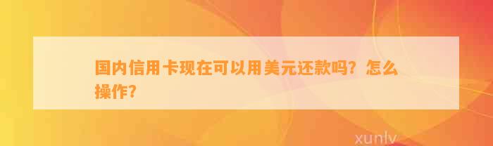 国内信用卡现在可以用美元还款吗？怎么操作？