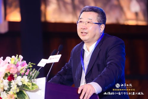 新兴经济体资本流向逆转，桂浩明解读全球市场影响与趋势？
