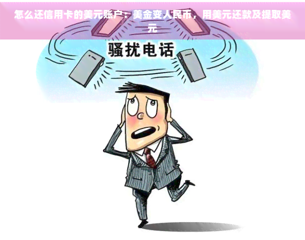 怎么还信用卡的美元账户：美金变人民币，用美元还款及提取美元