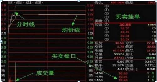 剖析股市人性弱点：追涨杀跌与贪得无厌，你中招了吗？