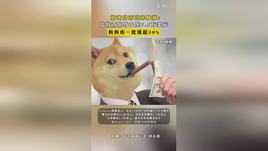 狗狗币暴涨原因_狗狗币能涨到100美元吗_狗狗币诞生背景
