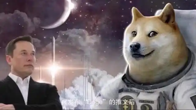 狗狗币诞生背景_狗狗币能涨到100美元吗_狗狗币暴涨原因