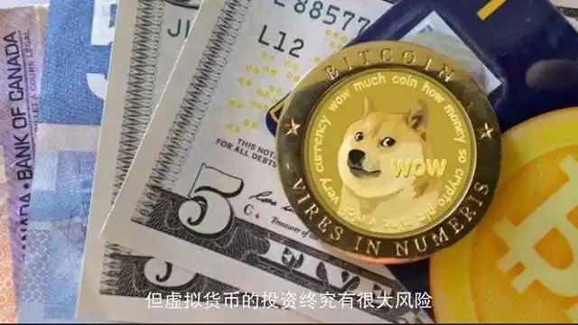 狗狗币暴涨原因_狗狗币能涨到100美元吗_狗狗币诞生背景