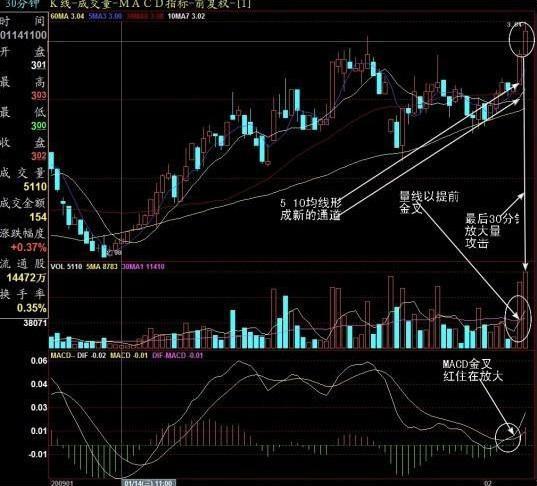 尾盘选股技巧_股票全仓半仓三分之一仓是什么_股票投资心理误差