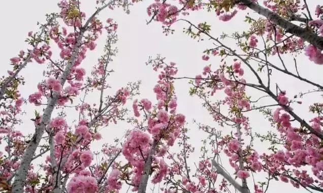 广东金融学院肇庆校区在哪个区_中山大学限外令_肇庆高校限外政策