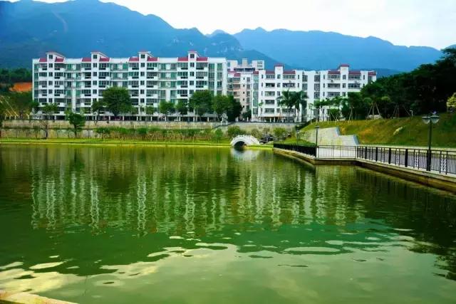 中山大学限外令_广东金融学院肇庆校区在哪个区_肇庆高校限外政策