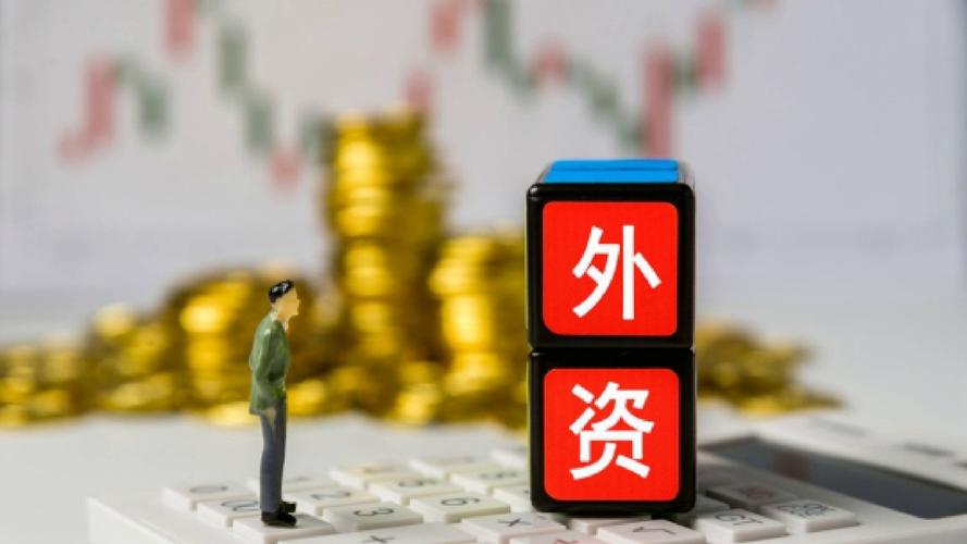 到账外资是什么意思_优化提升项目发展环境_利用外资增长情况