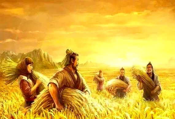 免费的地敢种吗？古代荒地背后竟藏着体力与政策两笔账