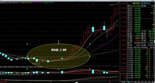 吸筹洗盘出货指标公式_庄家洗盘大阴线判断技巧_克服人性弱点股市获利