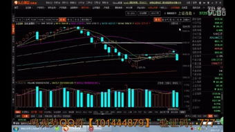 股票基础知识入门_股票入门知识讲解_有关股票的基本知识