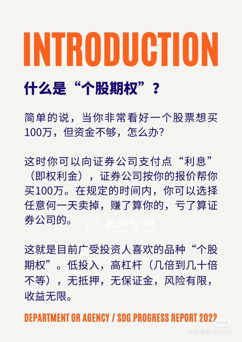 股票杠杆什么意思_A股场外期权投资机会_场外期权收益无限亏损有限