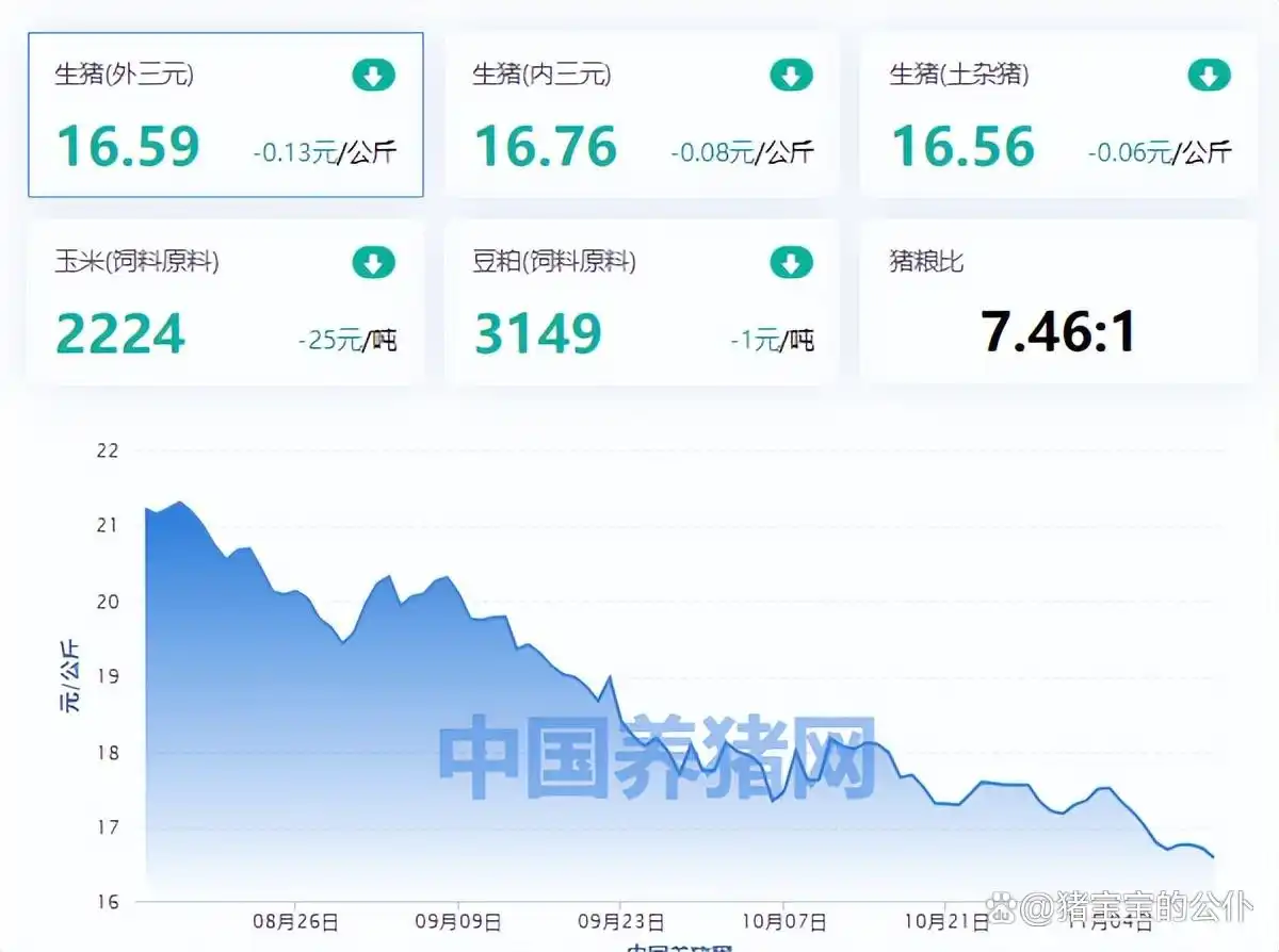 2024年11月猪价行情分析_今日大猪价行情价格表_全国外三元生猪均价走势