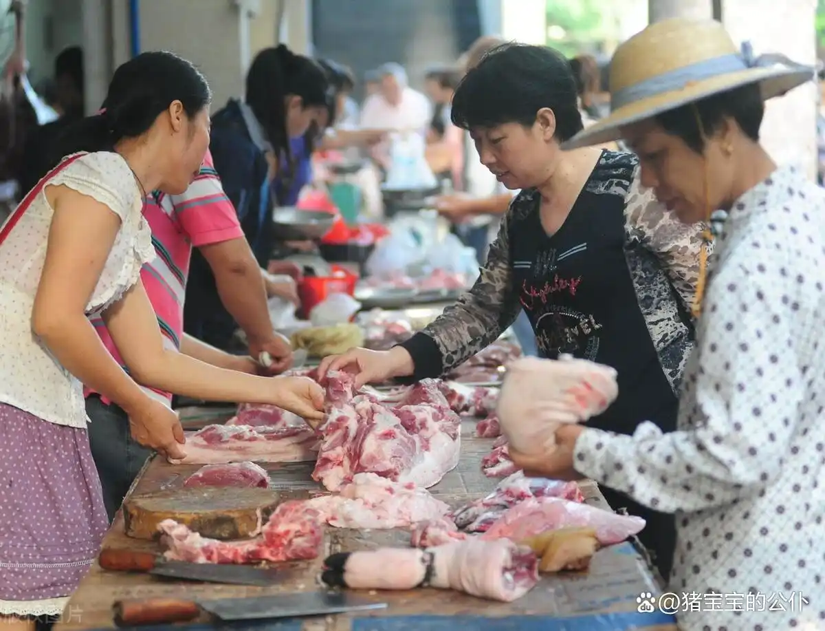 全国外三元生猪均价走势_今日大猪价行情价格表_2024年11月猪价行情分析