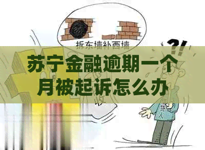 苏宁金融逾期一个月被起诉怎么办