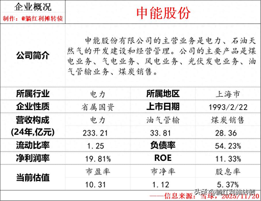 申能股份有限公司2026年度上半年财务分析报告_高股息率区域性能源国企申能股份分析_申能股份十年分红率数据整理