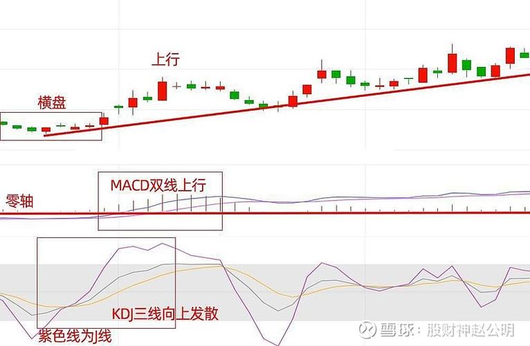 回马枪战法K线信号识别_投资时机对象研究_炒股票主要看什么指标