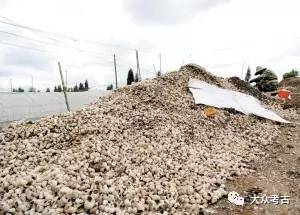 古滇人生活遗址考古研究_昆明现9口汉代水井_上西河遗址古滇国考古发现