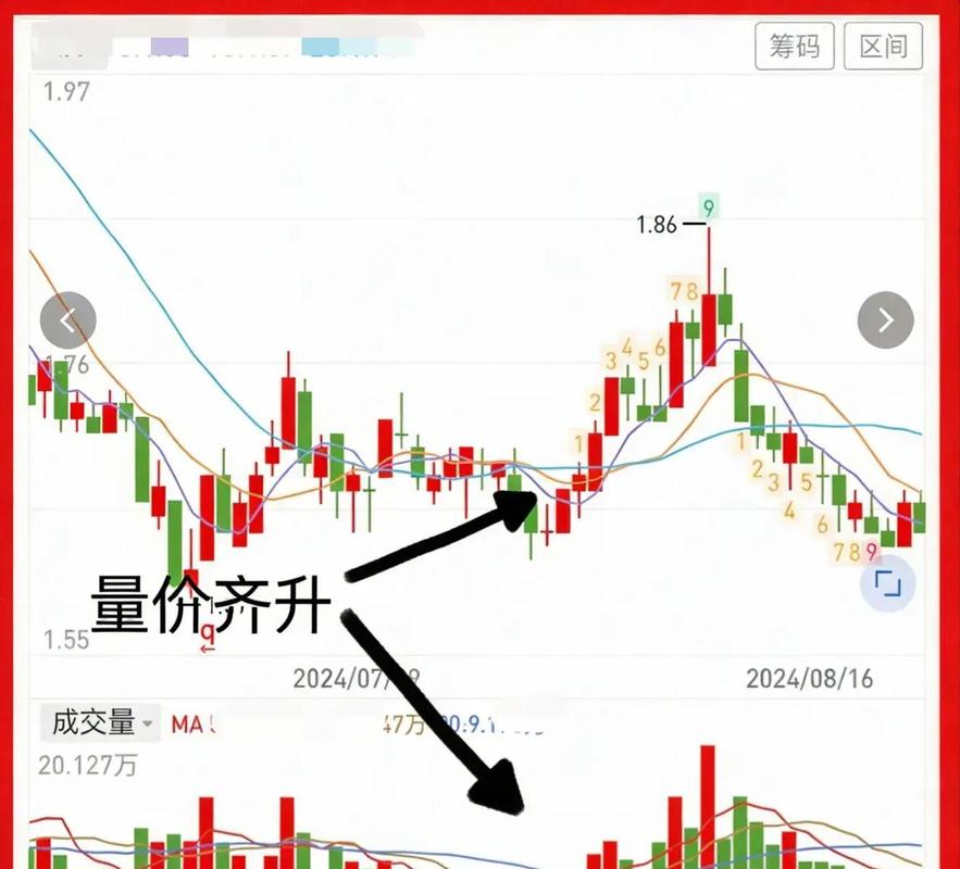 炒股票主要看什么指标_躲过股灾_看量避坑