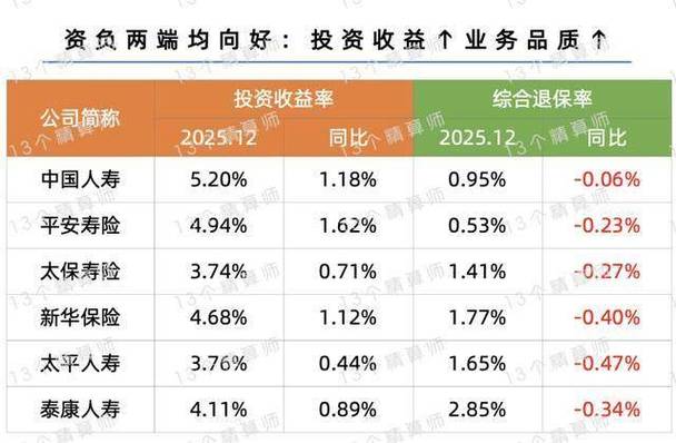 保险公司投资收益率 排名_非上市人身险公司投资收益率排名_人身险公司2025年投资策略分析