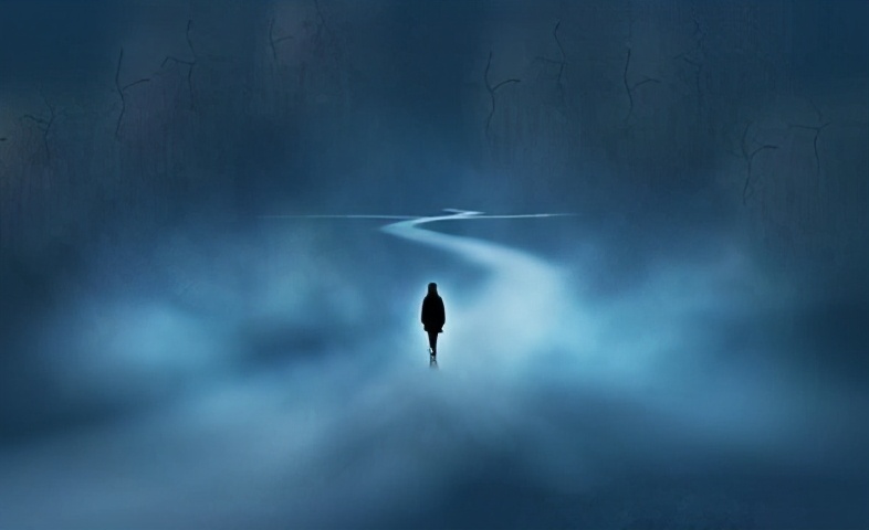 为什么股票分红后账户资金没增加_股票分红率计算_高分红股票除权影响