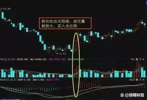 股票投资技巧_交易投资心得_炒股怎么赚钱