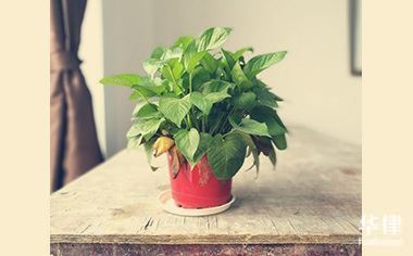 上市公司股权激励员工离职是否有效及激励对象都有谁