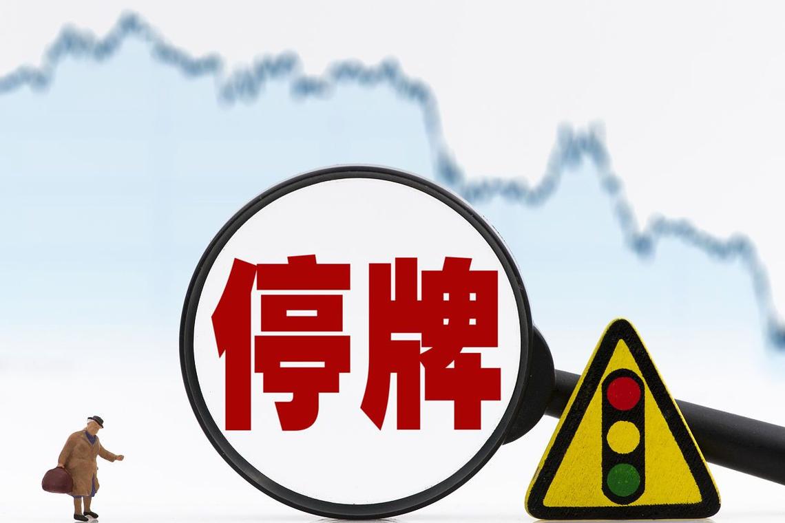 上海亚虹股票停牌公告_上交所停复牌业务指引_上海亚虹控股股东筹划重大事项