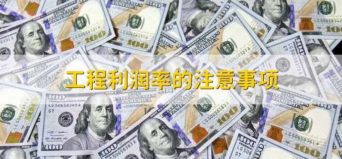 合理利润率一般是多少_评估工程项目盈利能力_工程利润率合理范围